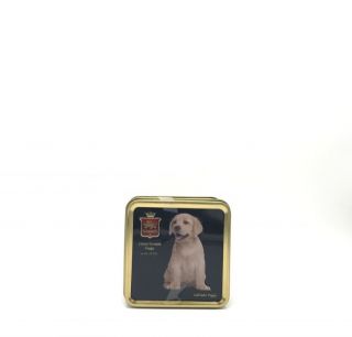 Stewarts Luxury Scottish Fudge - Labrador Puppy Tin 100g