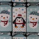 9 Mini Squared Christmas Cracker - Blue & White -...