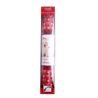 Christmas Cracker for Dogs