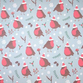 Sass & Belle - Christmas Robin Wrapping Paper