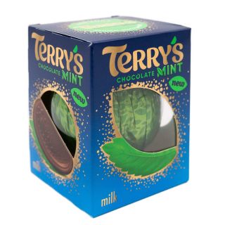 Terrys Chocolate Mint Milk Chocolate 145g