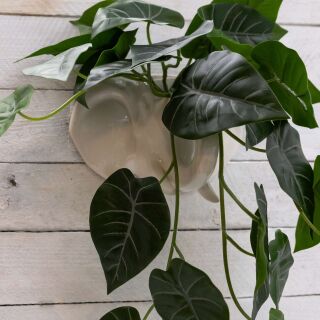 Ceramic Wall Plant Holder - Elephant Head