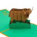 Cardology - Highland Cow 3D Pop Up Card